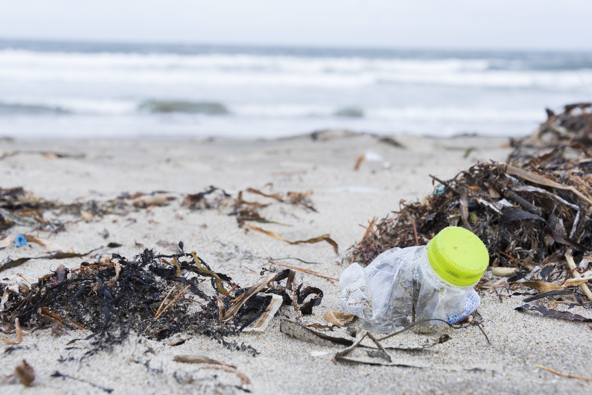 プラスチックごみ問題とは？影響や現状を知って私たちができることは？