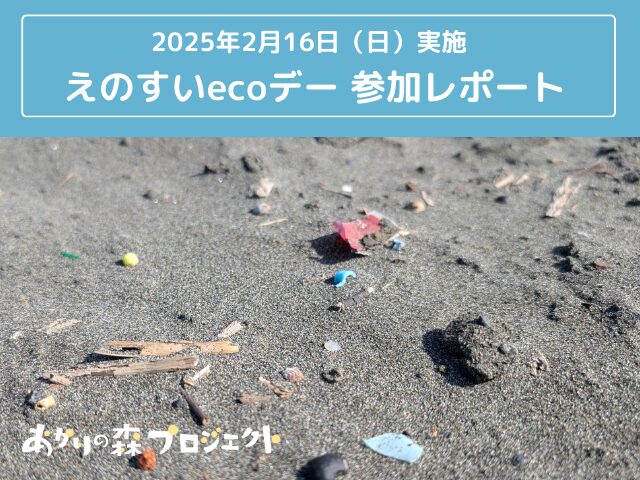 新江ノ島水族館主催「第173回えのすいecoデー」ビーチクリーンに社員とともに参加